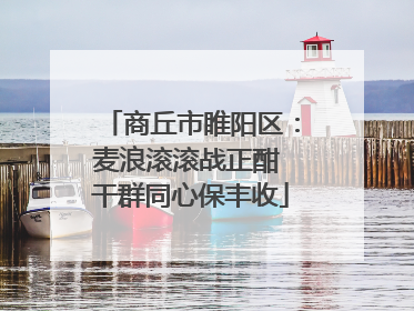 商丘市睢阳区：麦浪滚滚战正酣 干群同心保丰收