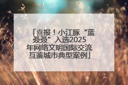 喜报！小江豚“蓝叒叒”入选2025年网络文明国际交流互鉴城市典型案例