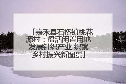 嘉禾县石桥镇桃花源村：盘活闲置用地发展针织产业 织就乡村振兴新图景