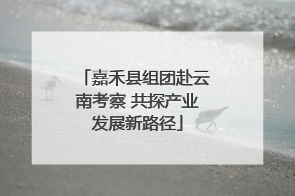 嘉禾县组团赴云南考察 共探产业发展新路径