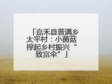 嘉禾县普满乡太平村：小菌菇撑起乡村振兴“致富伞”