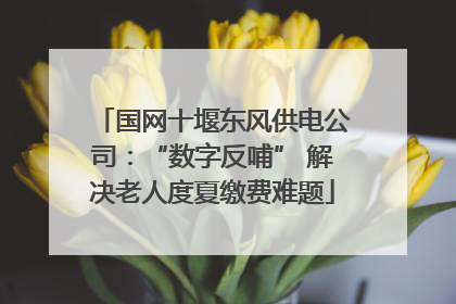 国网十堰东风供电公司：“数字反哺” 解决老人度夏缴费难题