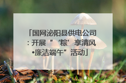 国网泌阳县供电公司：开展“‘粽’享清风 •廉洁端午”活动