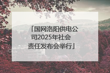 国网洛阳供电公司2025年社会责任发布会举行