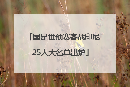 国足世预赛客战印尼25人大名单出炉