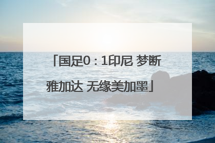 国足0∶1印尼 梦断雅加达 无缘美加墨