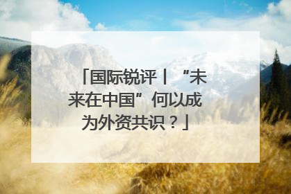 国际锐评丨“未来在中国”何以成为外资共识？