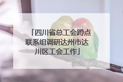 四川省总工会蹲点联系组调研达州市达川区工会工作