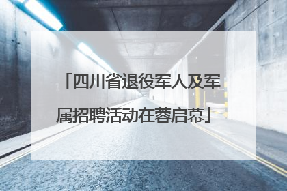四川省退役军人及军属招聘活动在蓉启幕