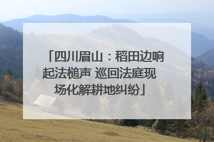 四川眉山：稻田边响起法槌声 巡回法庭现场化解耕地纠纷