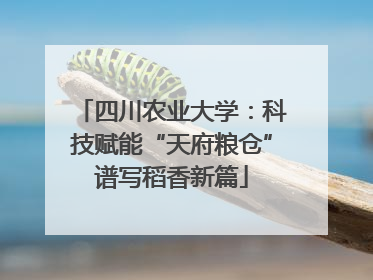 四川农业大学：科技赋能“天府粮仓”谱写稻香新篇