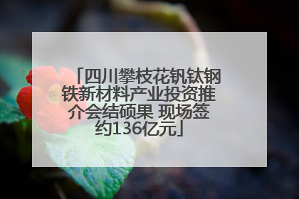四川攀枝花钒钛钢铁新材料产业投资推介会结硕果 现场签约136亿元