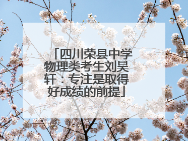 四川荣县中学物理类考生刘昊轩：专注是取得好成绩的前提