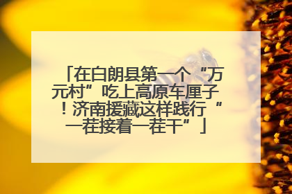 在白朗县第一个“万元村”吃上高原车厘子！济南援藏这样践行“一茬接着一茬干”