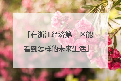 在浙江经济第一区能看到怎样的未来生活