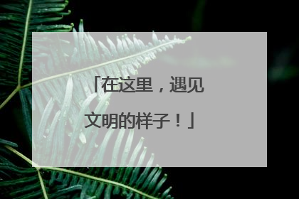 在这里，遇见文明的样子！
