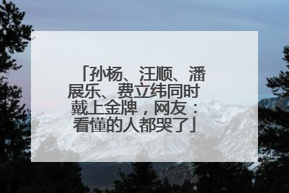 孙杨、汪顺、潘展乐、费立纬同时戴上金牌，网友：看懂的人都哭了