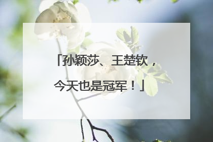 孙颖莎、王楚钦，今天也是冠军！