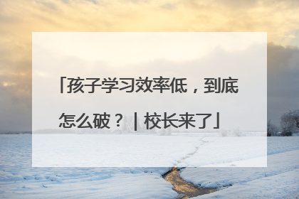 孩子学习效率低，到底怎么破？｜校长来了