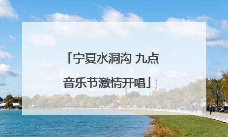 宁夏水洞沟 九点音乐节激情开唱