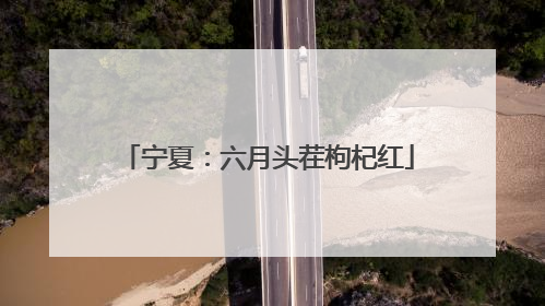 宁夏：六月头茬枸杞红