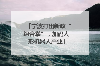 宁波打出新政“组合拳”，加码人形机器人产业