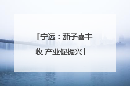 宁远：茄子喜丰收 产业促振兴