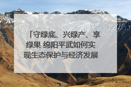 守绿底、兴绿产、享绿果 绵阳平武如何实现生态保护与经济发展双赢？｜新闻发布最前线·深一度