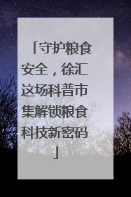 守护粮食安全，徐汇这场科普市集解锁粮食科技新密码
