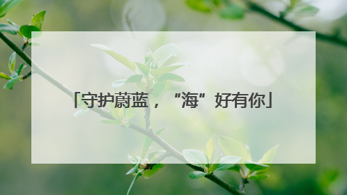 守护蔚蓝，“海”好有你