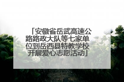 安徽省岳武高速公路路政大队等七家单位到岳西县特教学校开展爱心志愿活动