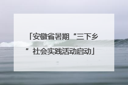 安徽省暑期“三下乡”社会实践活动启动