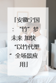 安徽宁国：“竹”梦未来 加快“以竹代塑”全场景应用