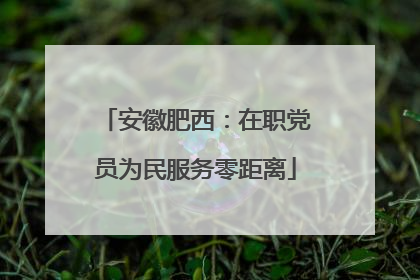 安徽肥西：在职党员为民服务零距离