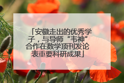 安徽走出的优秀学子，与导师“韦神”合作在数学顶刊发论表重要科研成果