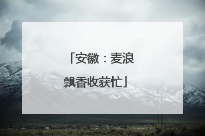 安徽：麦浪飘香收获忙