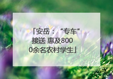 安岳：“专车”接送 惠及8000余名农村学生