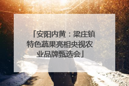 安阳内黄：梁庄镇特色蔬果亮相央视农业品牌甄选会