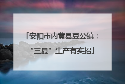 安阳市内黄县豆公镇：“三夏”生产有实招