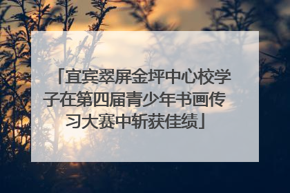 宜宾翠屏金坪中心校学子在第四届青少年书画传习大赛中斩获佳绩