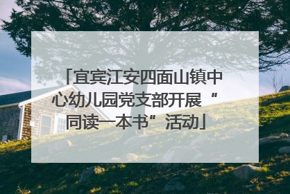 宜宾江安四面山镇中心幼儿园党支部开展“同读一本书”活动