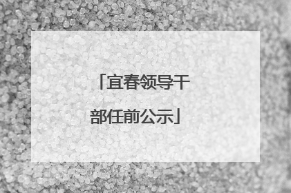 宜春领导干部任前公示