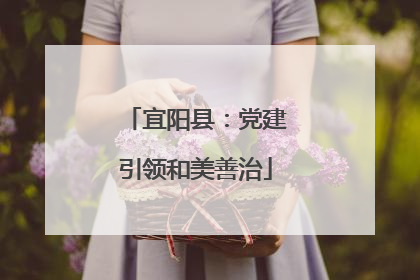 宜阳县：党建引领和美善治