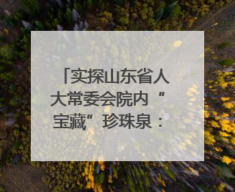 实探山东省人大常委会院内“宝藏”珍珠泉：乾隆曾为它题诗，游客无需预约免费游览