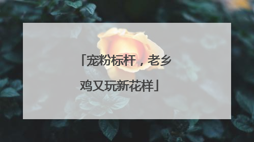 宠粉标杆，老乡鸡又玩新花样