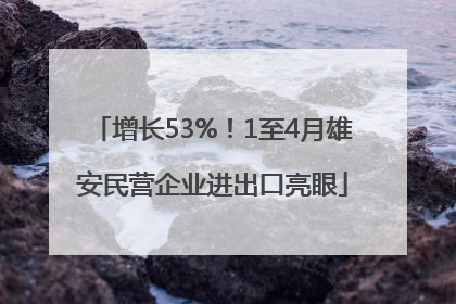 增长53%！1至4月雄安民营企业进出口亮眼