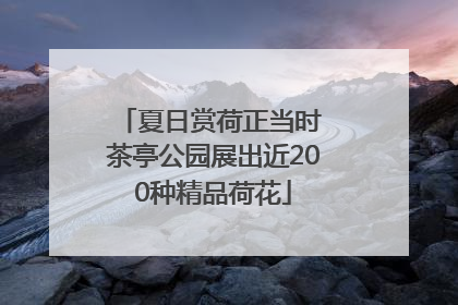 夏日赏荷正当时 茶亭公园展出近200种精品荷花