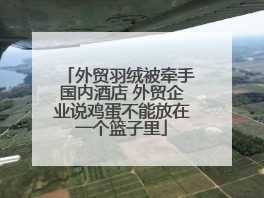外贸羽绒被牵手国内酒店 外贸企业说鸡蛋不能放在一个篮子里