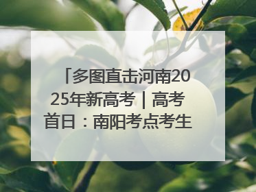 多图直击河南2025年新高考｜高考首日：南阳考点考生信心满满迎战
