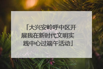 大兴安岭呼中区开展我在新时代文明实践中心过端午活动
